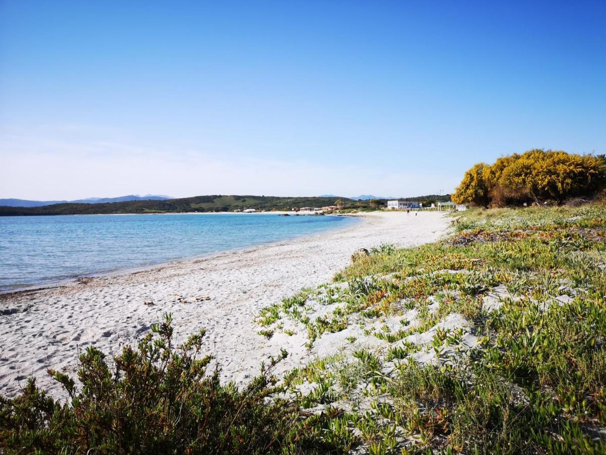 Insardinia House Trilocale A 200Mt Dalla Spiaggia Olbia Extérieur photo