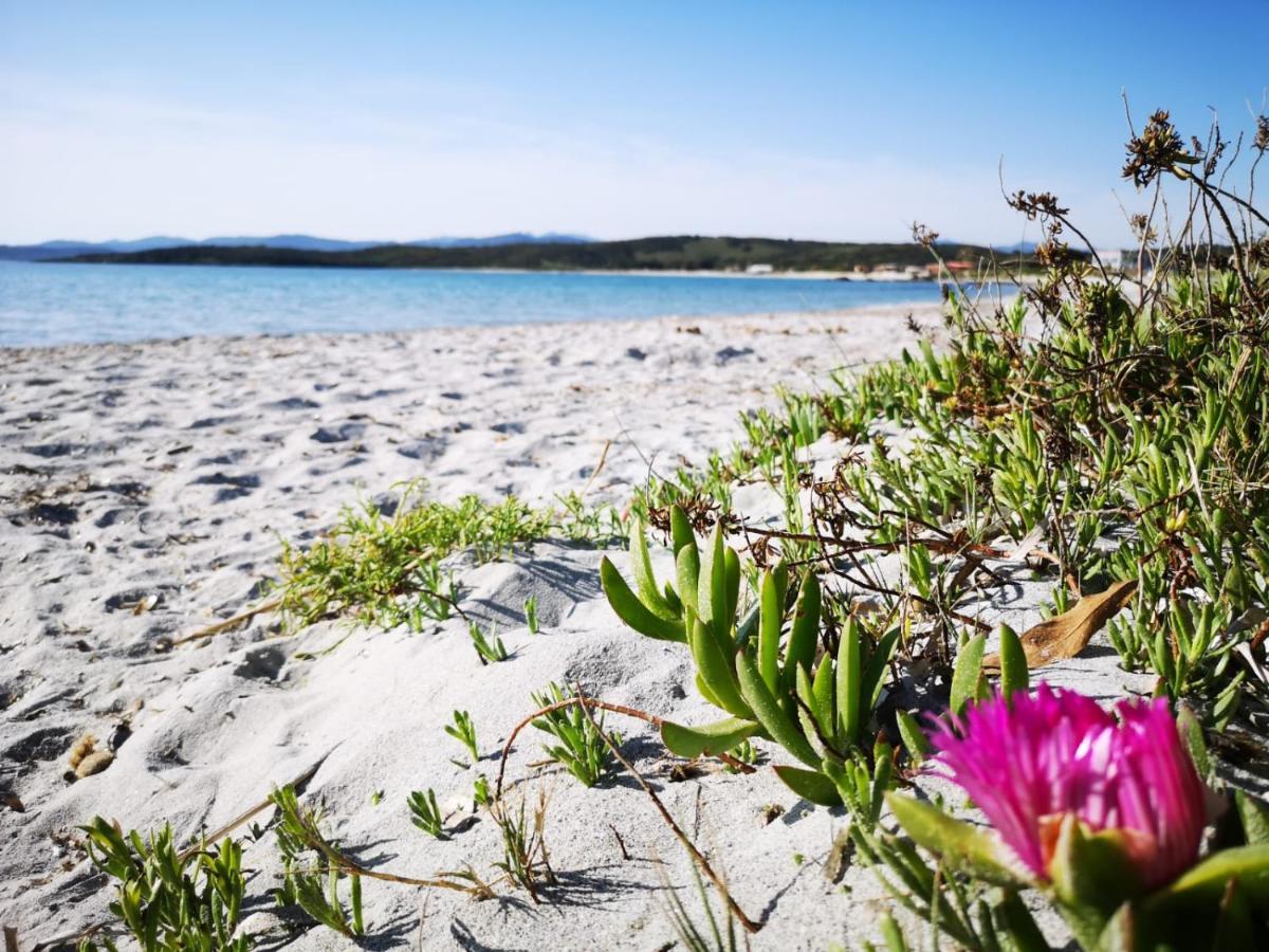 Insardinia House Trilocale A 200Mt Dalla Spiaggia Olbia Extérieur photo